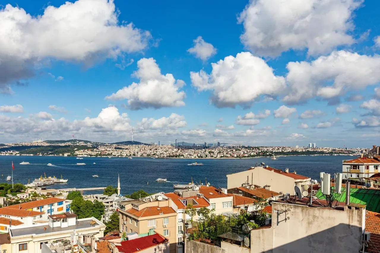 Central Apartment With Bosphorus View In Cihangir Istanbul