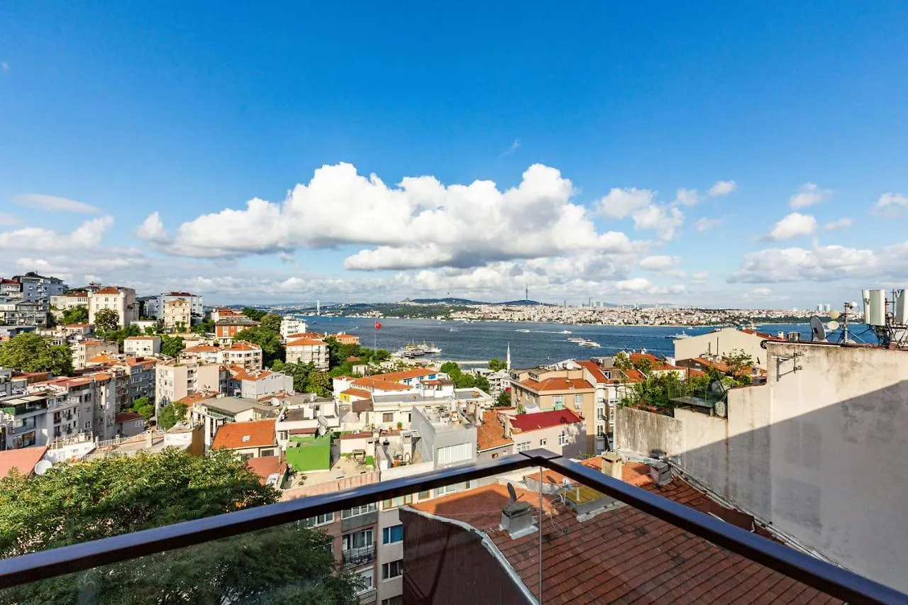 Central Apartment With Bosphorus View In Cihangir Istanbul