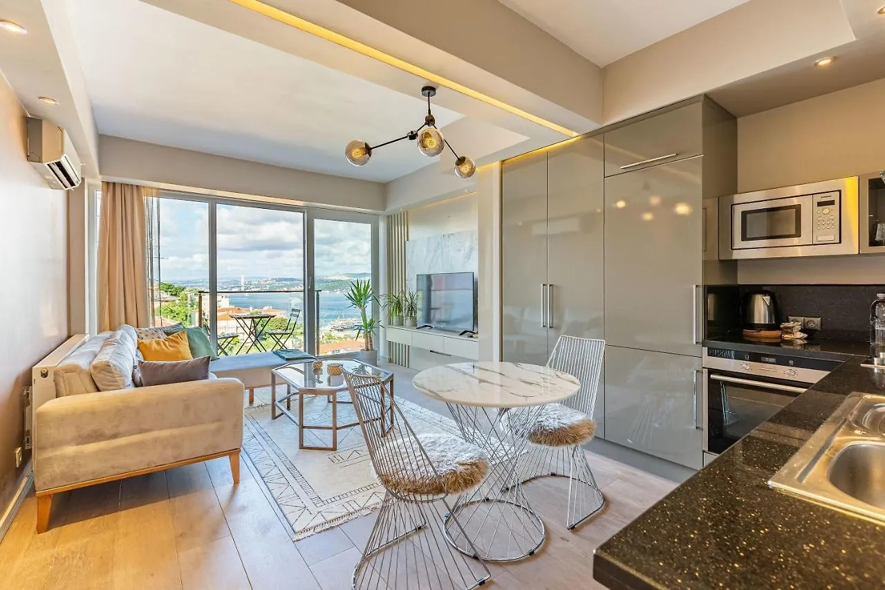 Central Apartment With Bosphorus View In Cihangir Istanbul Turkey