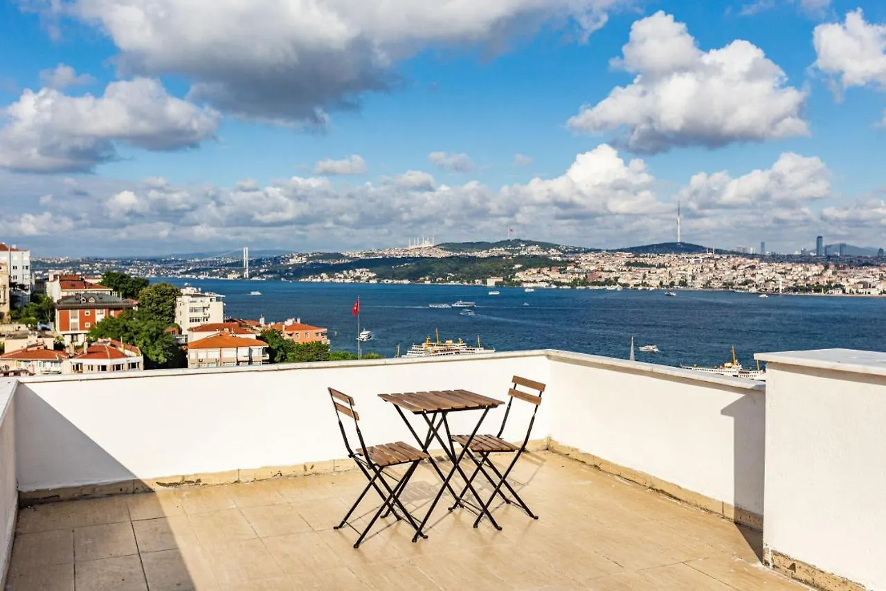 Central Apartment With Bosphorus View In Cihangir Istanbul