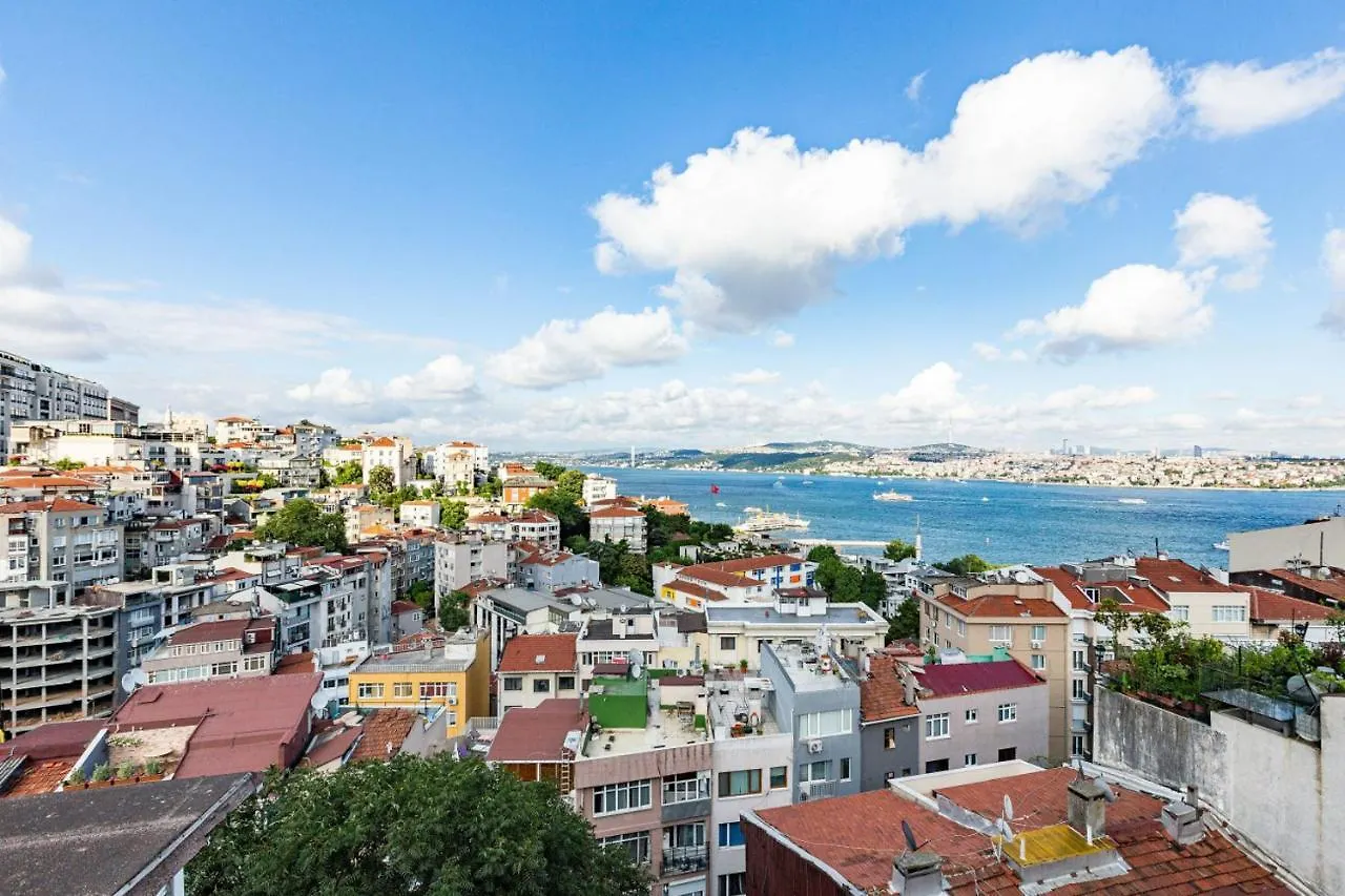 Central Apartment With Bosphorus View In Cihangir Istanbul 0*,